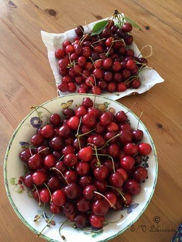 Cerises Oloronnaises