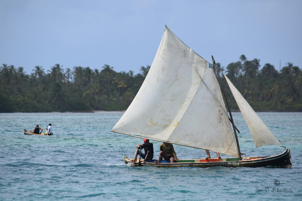 Pirogue à voile