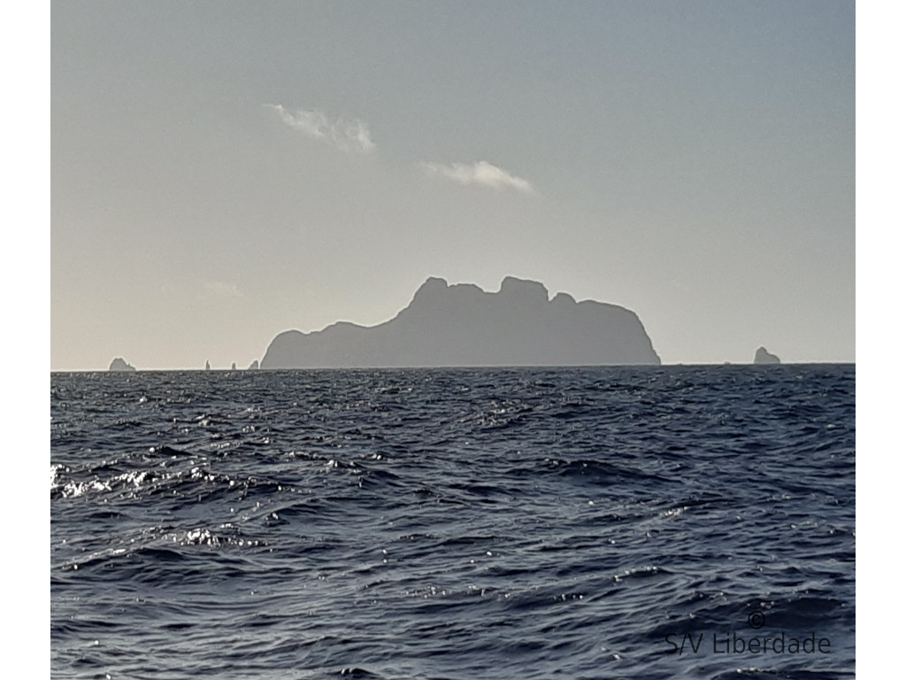 Ile de Malpelo - Colombie