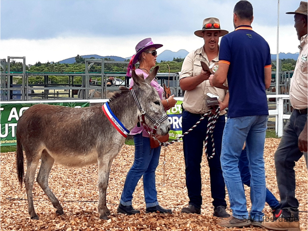 foire de Koumac