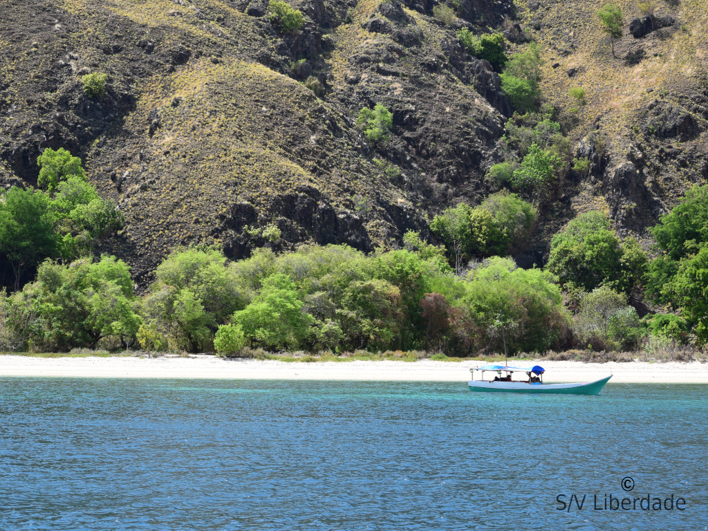 bateau local