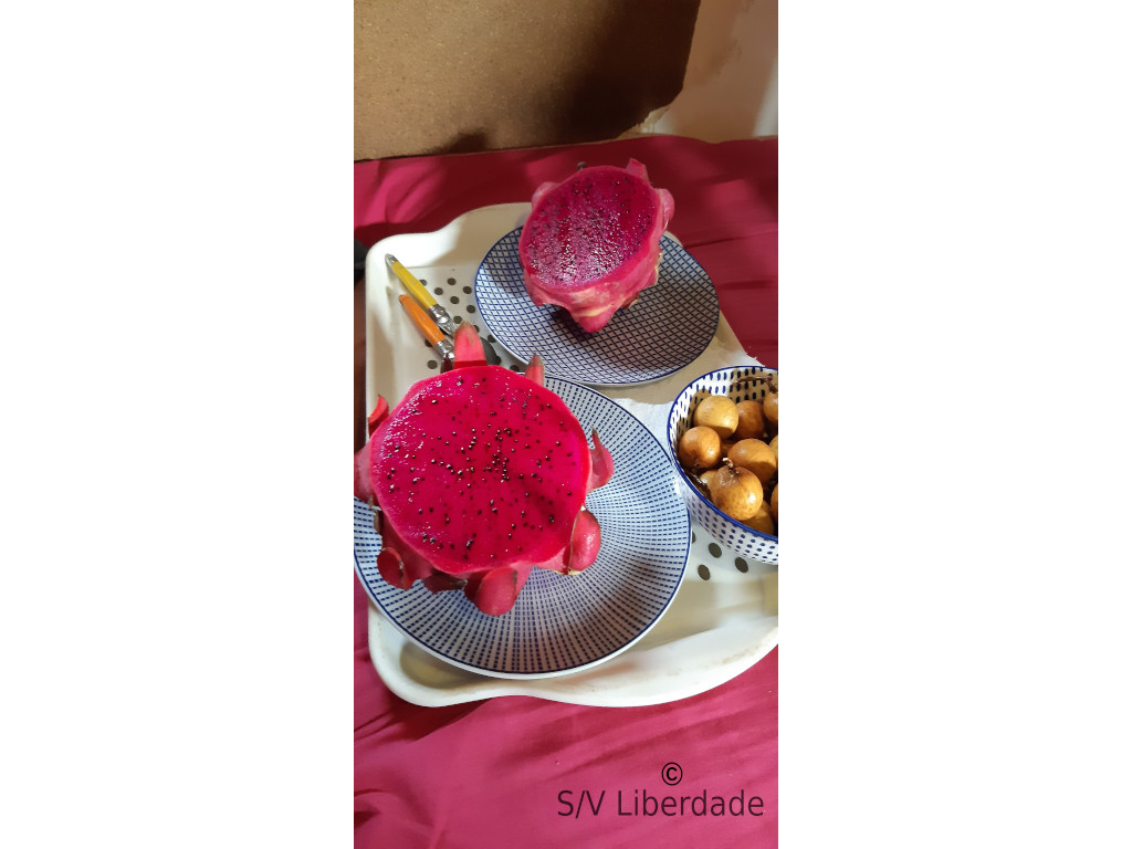 dragon fruit - Pitaya