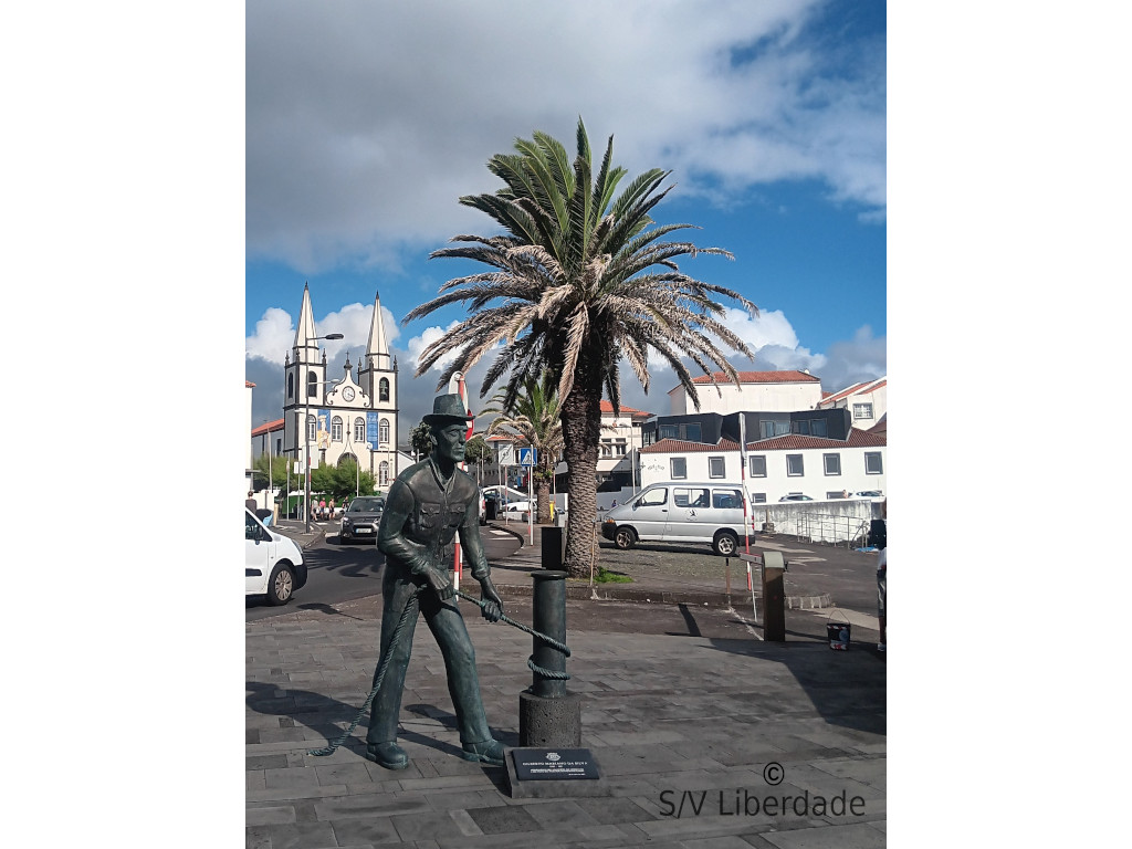 Madalena sur Pico