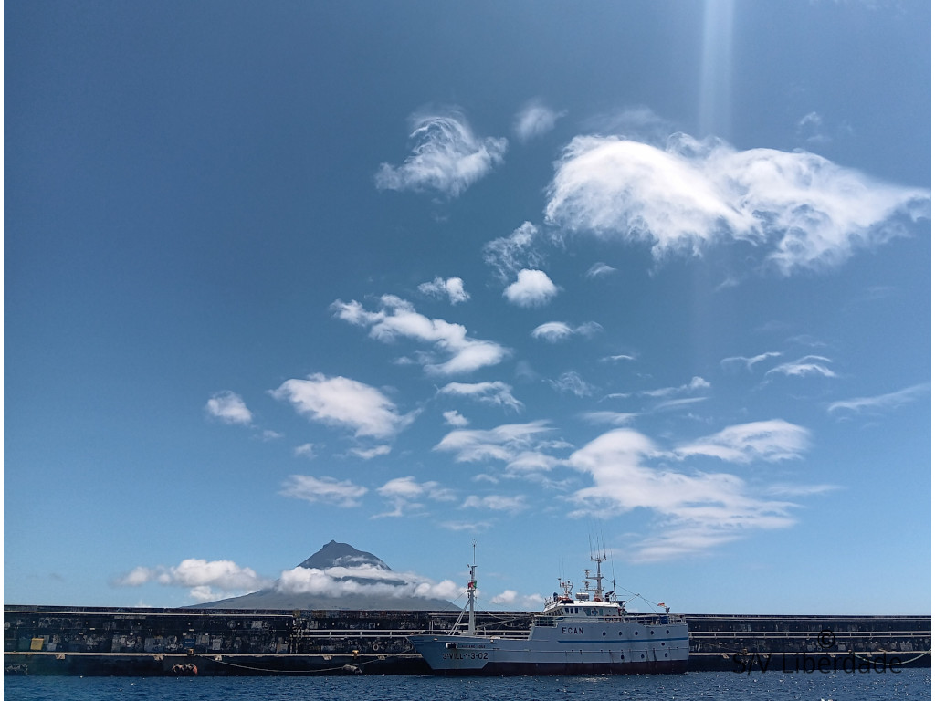 Horta Volcan Pico vu depuis la baie de Horta